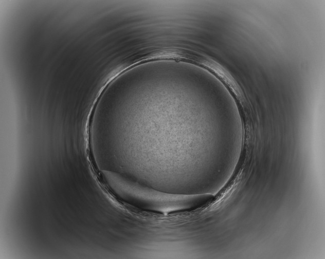 X0000096130858200801181111