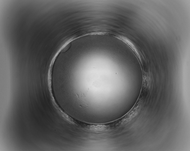 X0000096130859200801181111