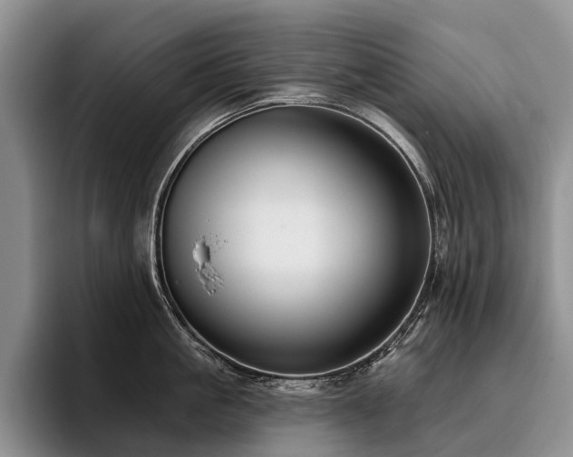 X0000096130861200801181111