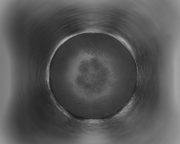X0000096130862200801181111