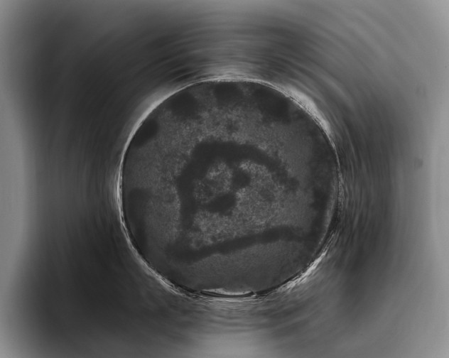 X0000096130863200801181111