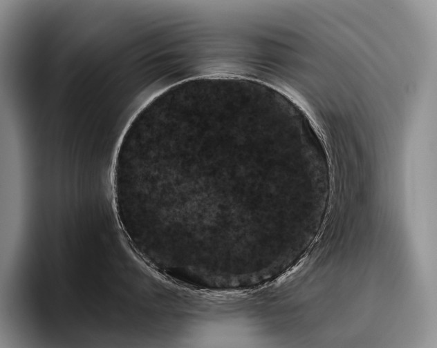 X0000096130864200801181111