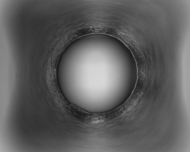 X0000096130865200801181111