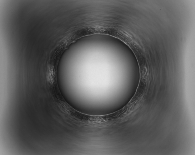 X0000096130866200801181111