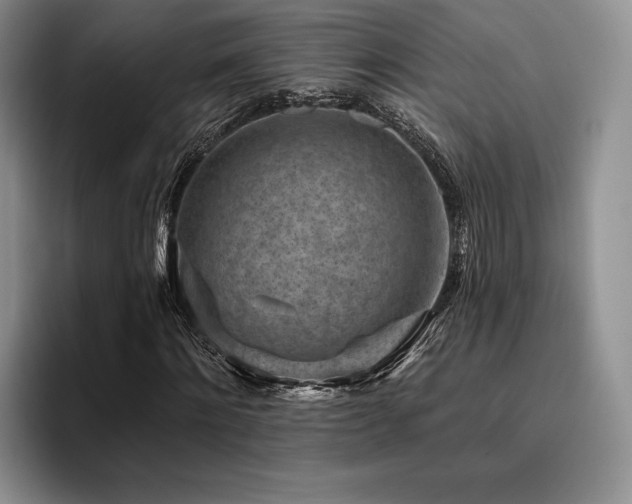 X0000096130868200801181111