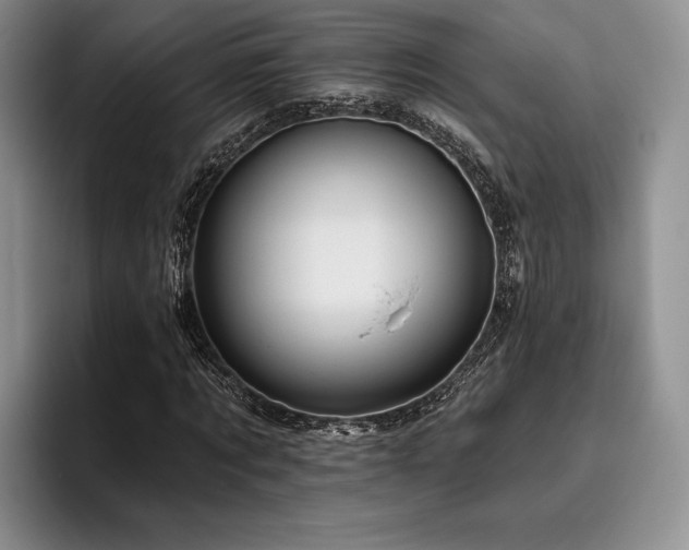 X0000096130869200801181111