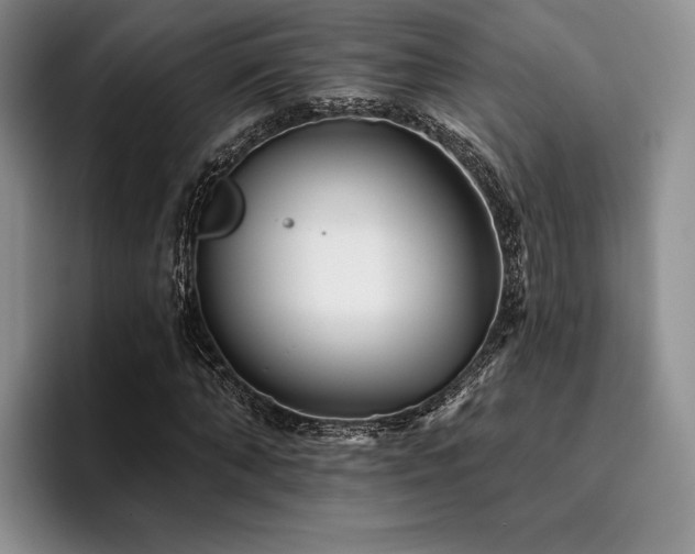 X0000096130870200801181111