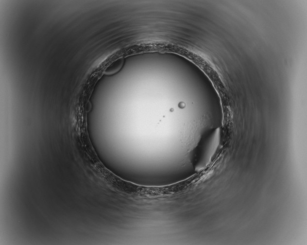 X0000096130871200801181111