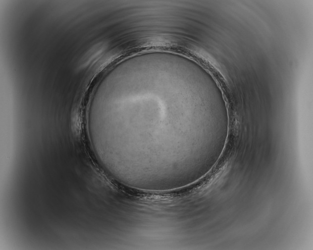 X0000096130874200801181110
