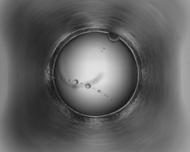 X0000096130875200801181110