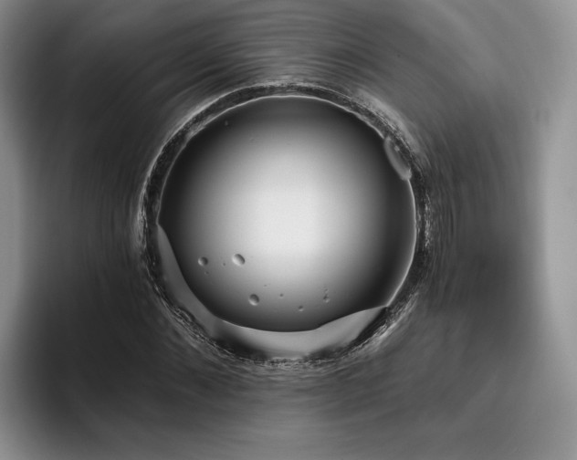 X0000096130876200801181110