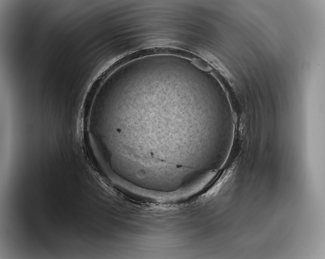 X0000096130877200801181110