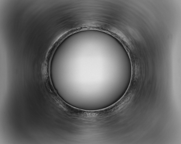 X0000096130878200801181110