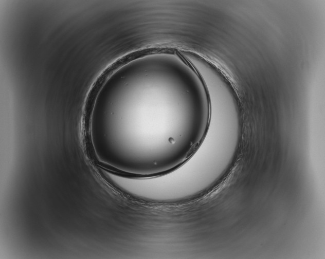 X0000096130880200801181110