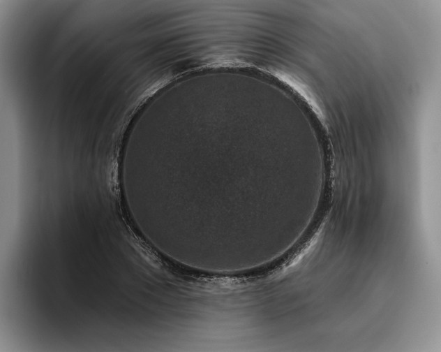 X0000096130881200801181110