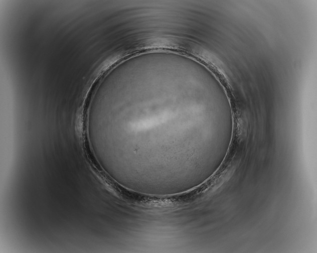 X0000096130882200801181110