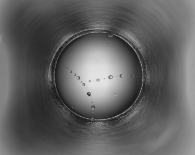 X0000096130883200801181110