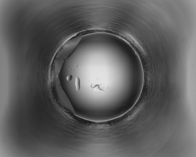 X0000096130884200801181110