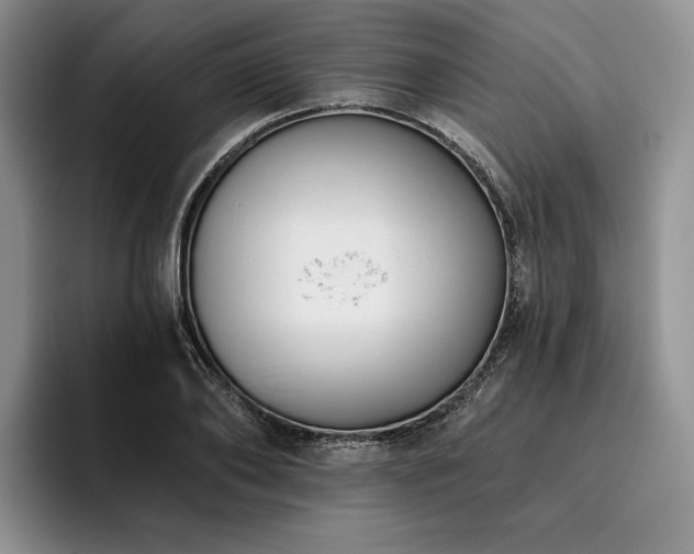 X0000096130886200801181110