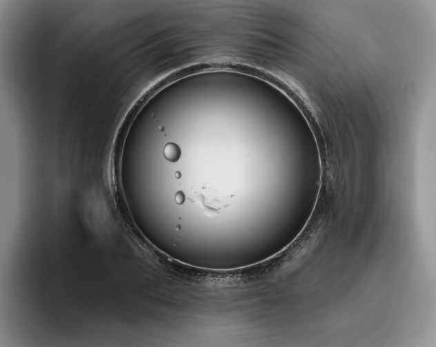 X0000096130887200801181110