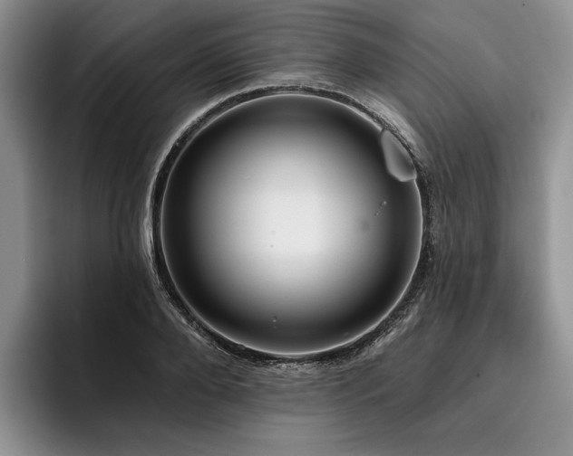 X0000096130888200801181110