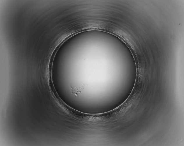 X0000096130890200801181110