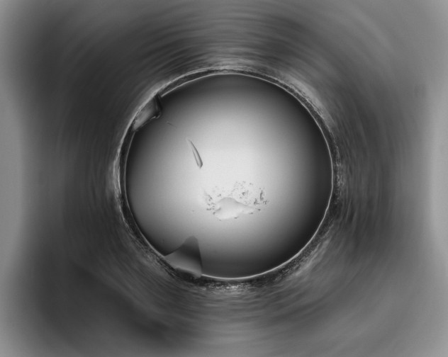 X0000096130891200801181110