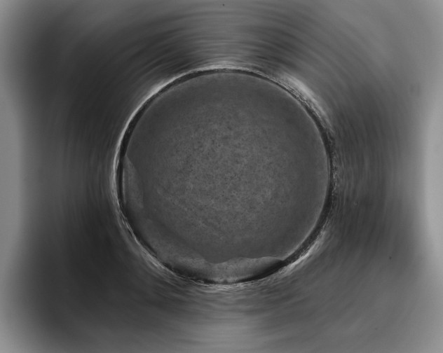 X0000096130892200801181110