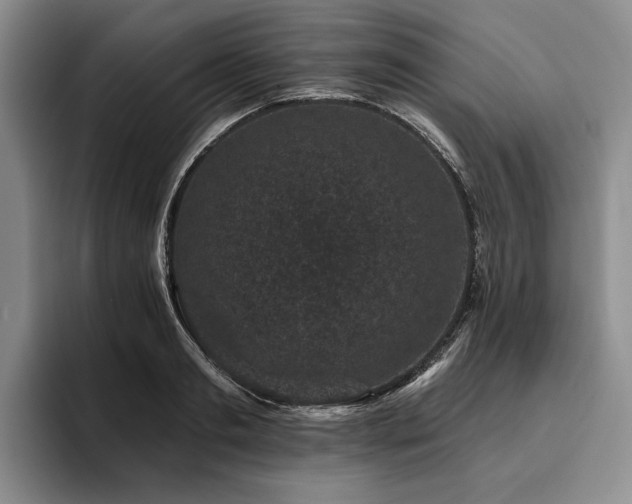 X0000096130893200801181110
