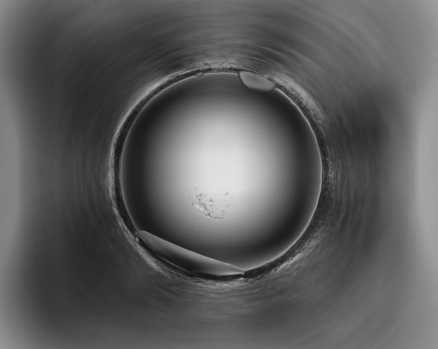 X0000096130894200801181110
