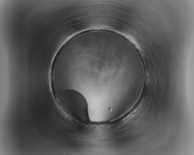 X0000096130895200801181110