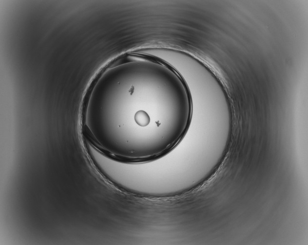 X0000096130896200801181110