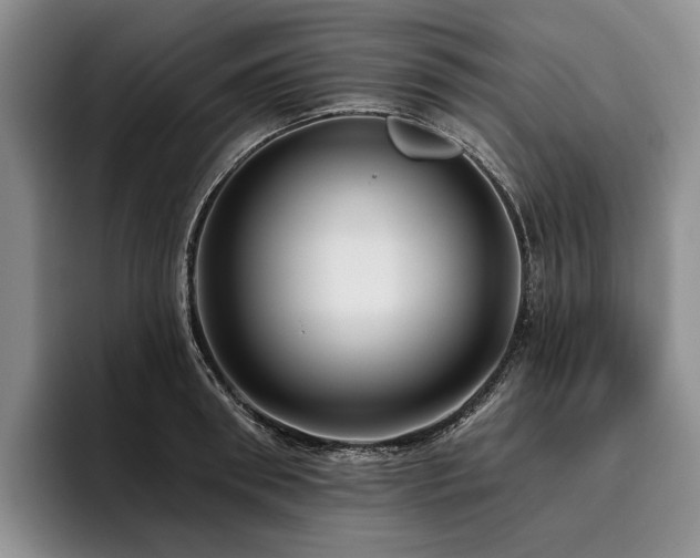 X0000096130898200801181110