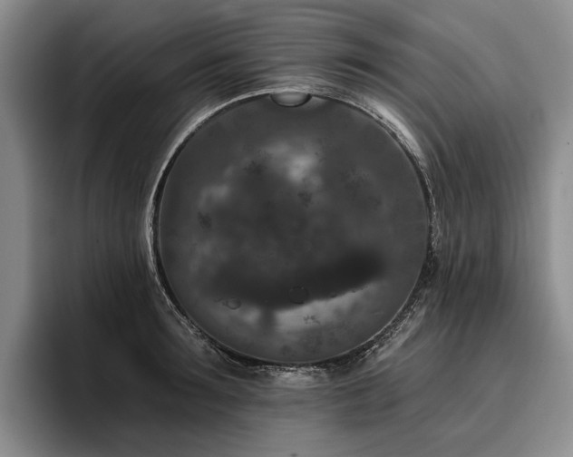 X0000096130899200801181110