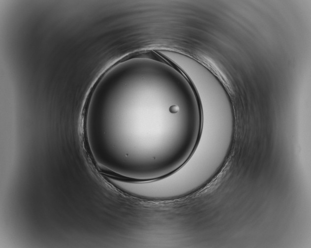 X0000096130900200801181110