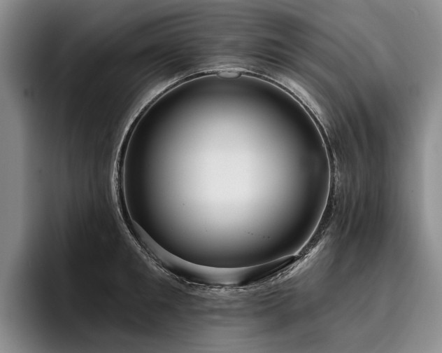X0000096130901200801181110