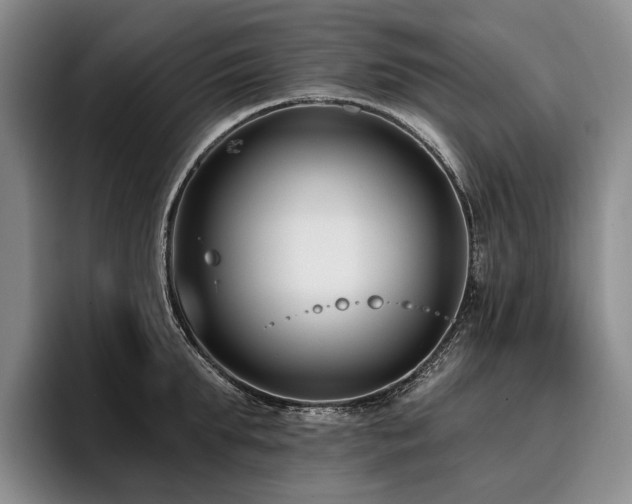 X0000096130903200801181110