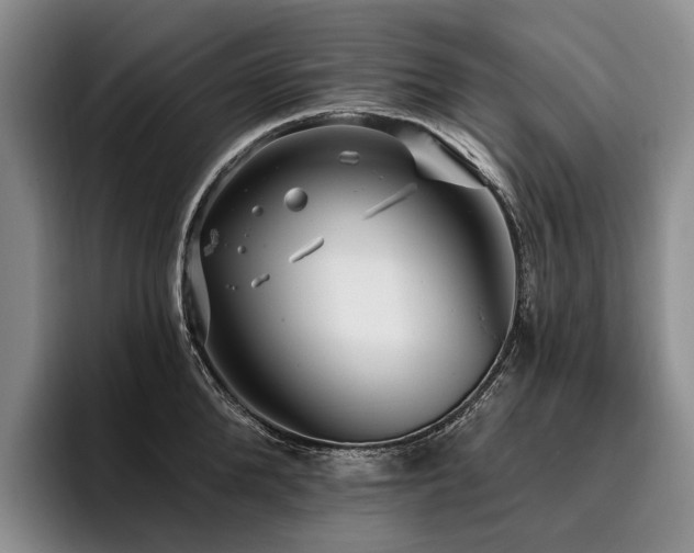 X0000096130904200801181110