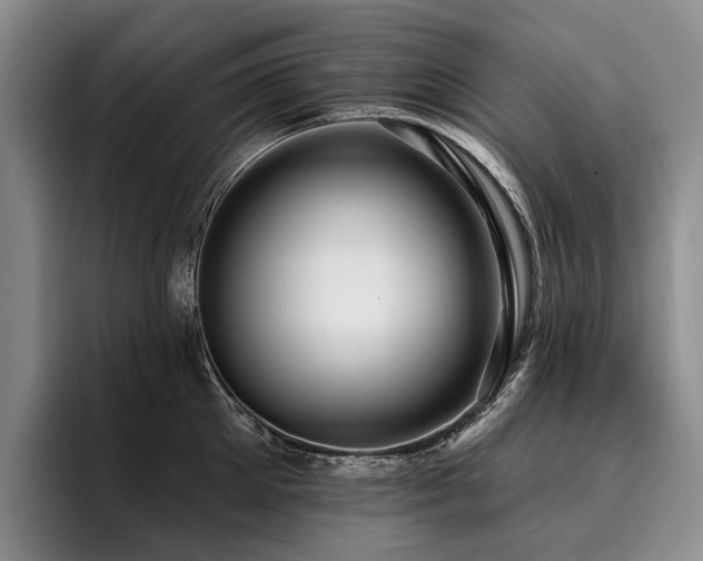 X0000096130905200801181110