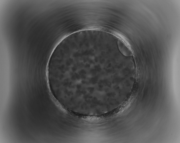 X0000096130907200801181110