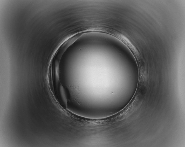 X0000096130908200801181110
