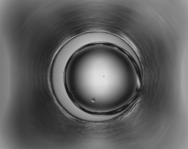 X0000096130909200801181110
