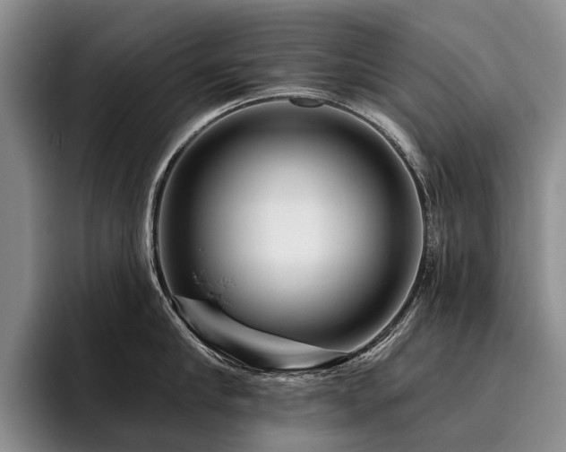 X0000096130910200801181110
