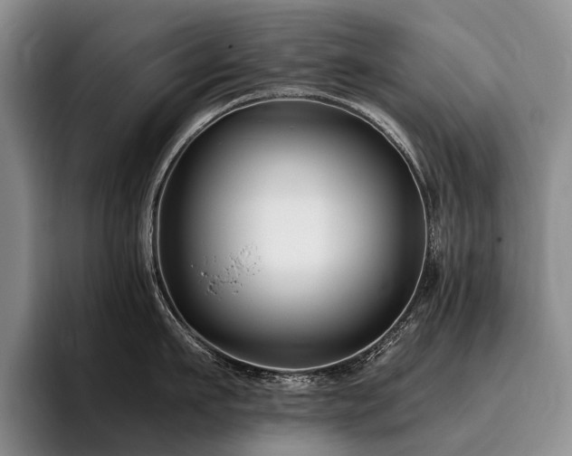 X0000096130911200801181110