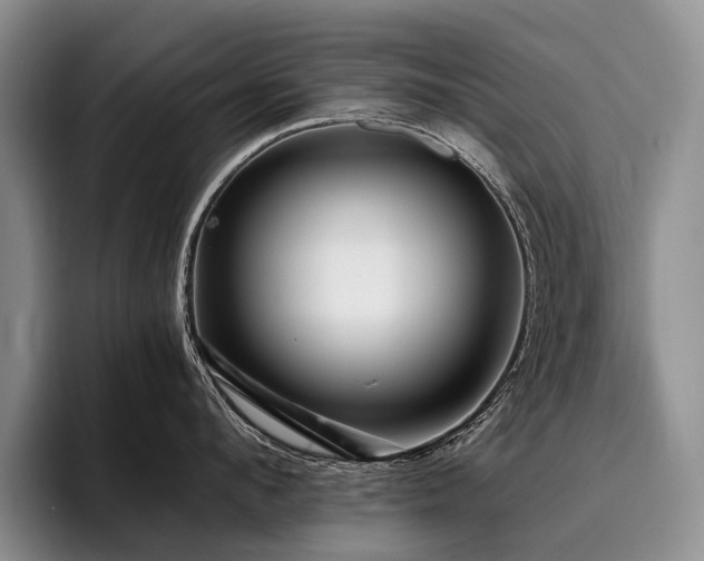 X0000096130912200801181110