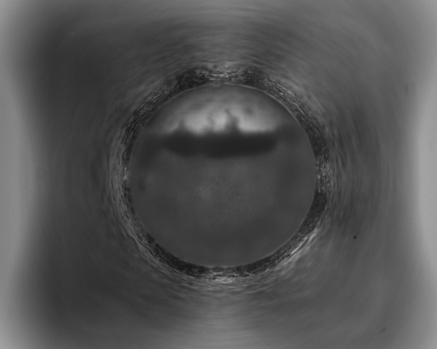 X0000096130913200801181109