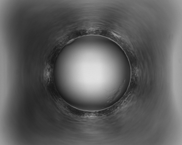 X0000096130914200801181109