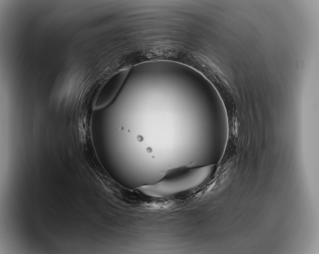 X0000096130915200801181109