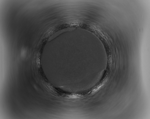 X0000096130916200801181109