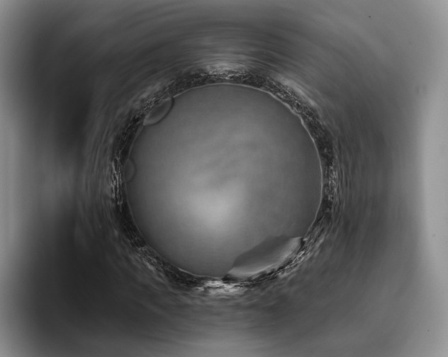 X0000096130917200801181109